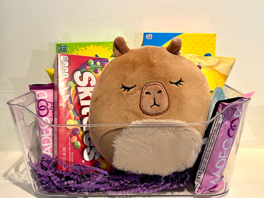 Squishmallows Treat Basket (Choose a Squishmallow!)