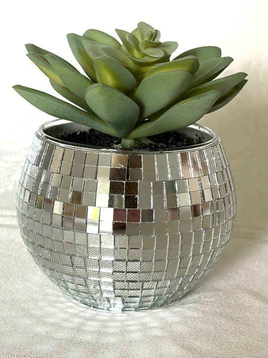 Succulent in Disco Ball (add on)